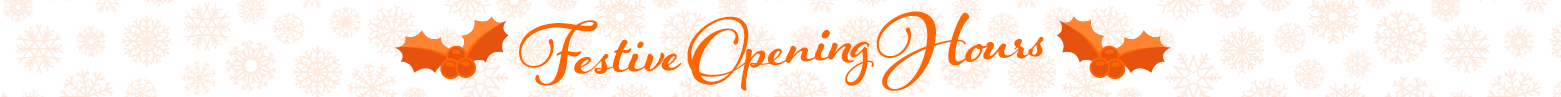 William Wilson Festive Opening Hours 2023