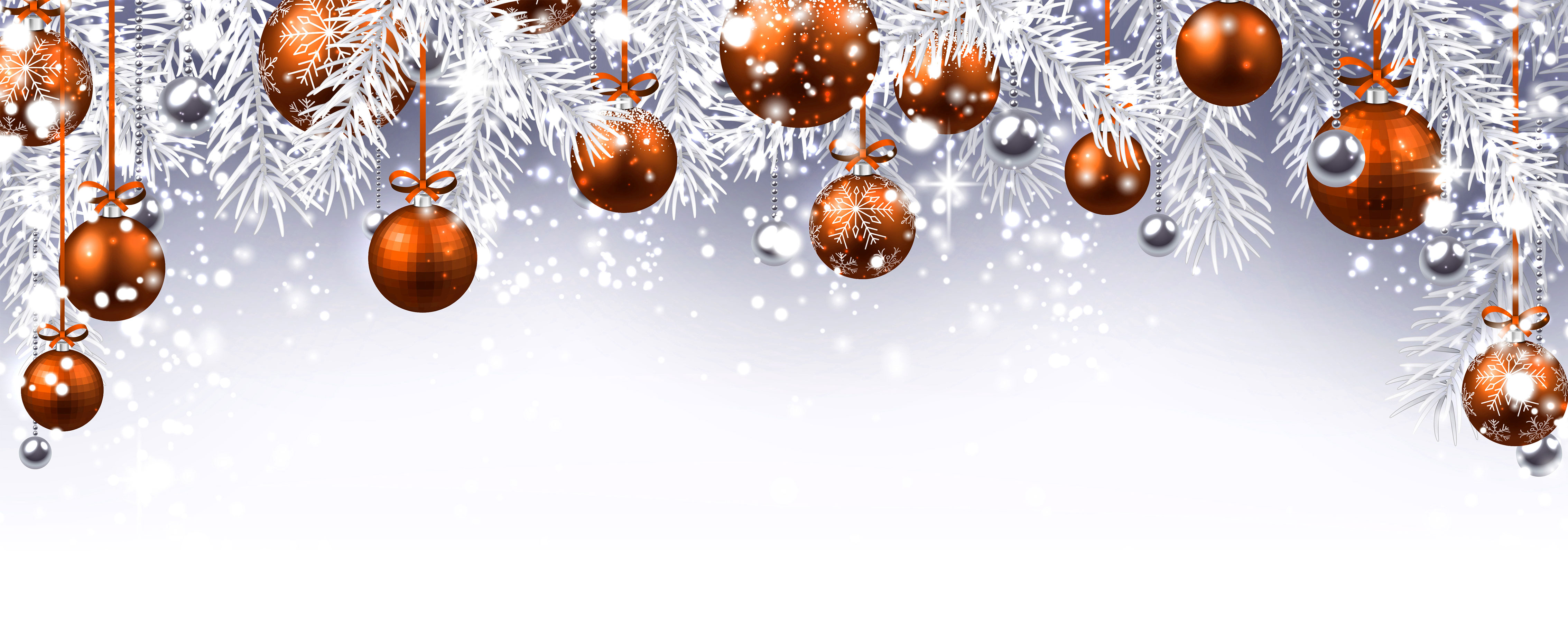 William Wilson Festive Opening Hours