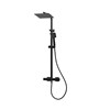 Express Mio Deluxe Safe-Touch Dual Outlet Thermostatic  Shower & Square Riser Kit - Black
