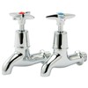 Express 1/2" Chrome Bib Taps