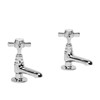 Sensations Sherford Pair Basin Taps - Chrome